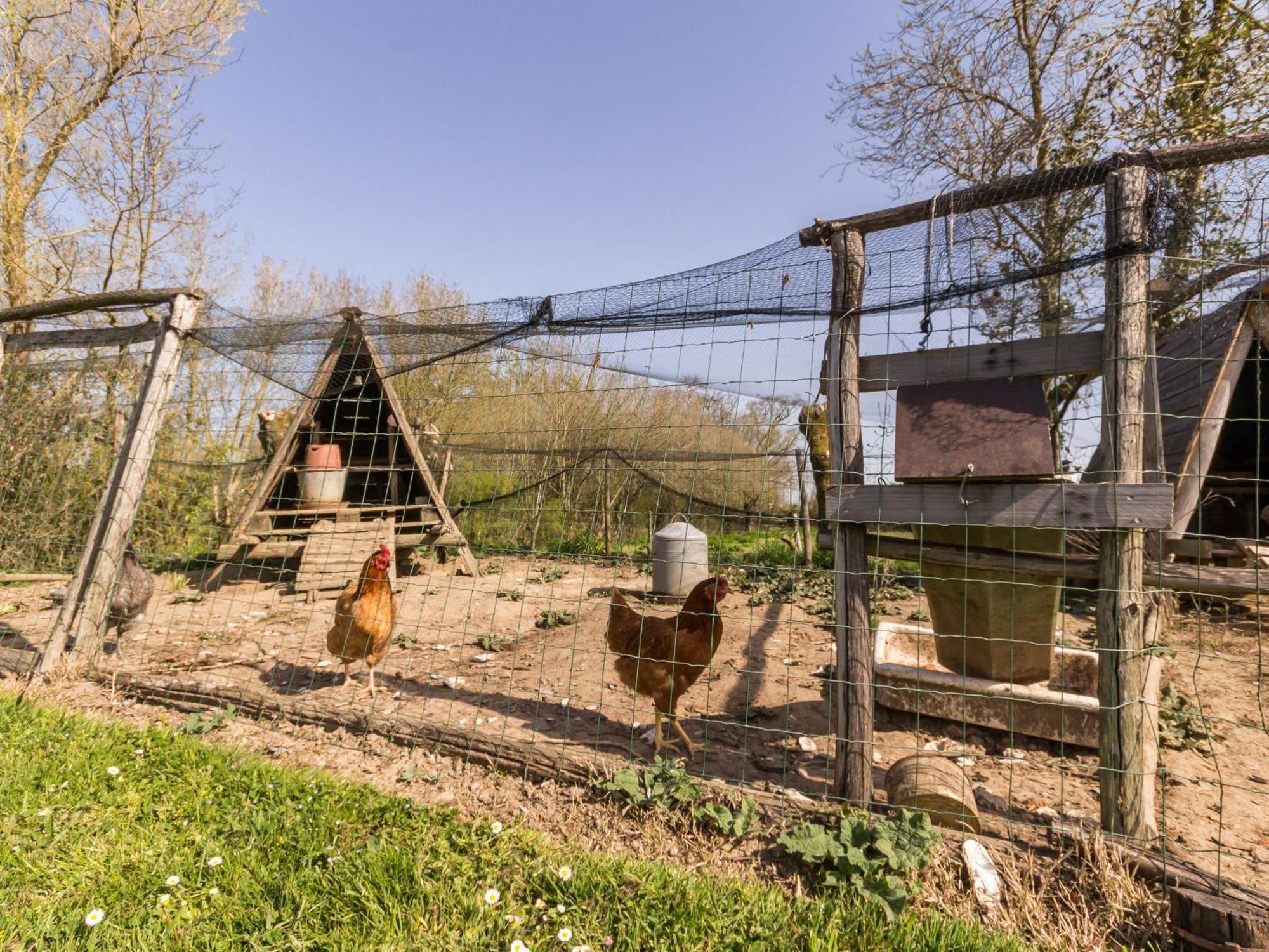 Gite Champetre Renove Avec Terrasse & Equipements, Proche Pornic - Animaux Acceptes - Fr-1-306-1027 Vila Frossay Exterior foto